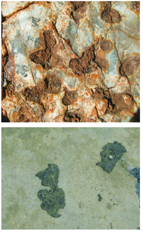 Examples of microbially induced sedimentary structures