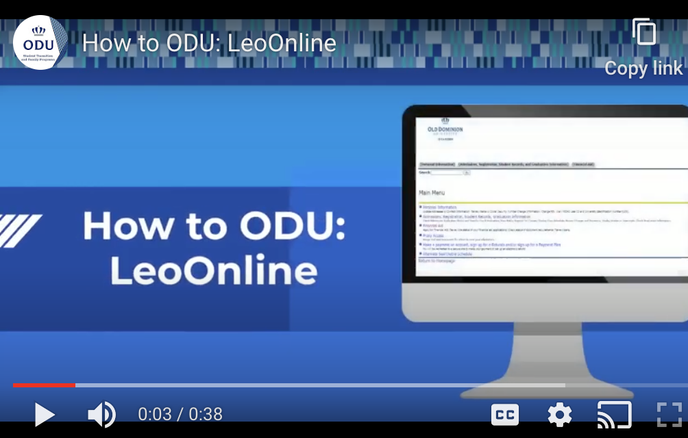 Leo Online Screenshot from Slides