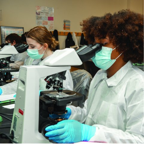 Health Sciences Lab. Students looking through microscopes.
