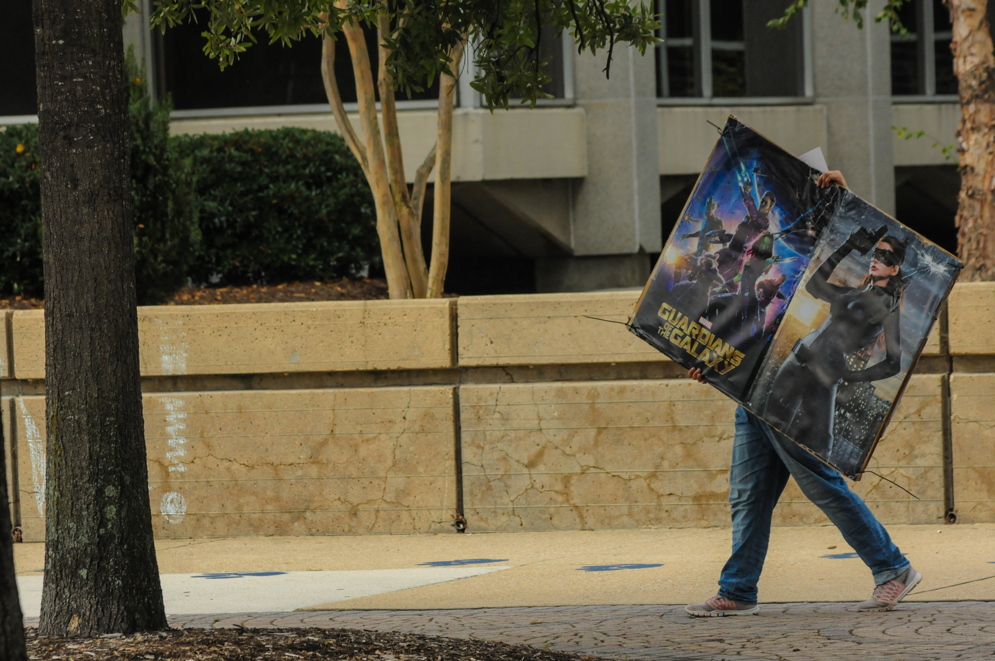 Cat Woman on the move. Alexis Cruz is pictured setting up a display on Kaufman Mall for the Beyond the  Wall poster sale.