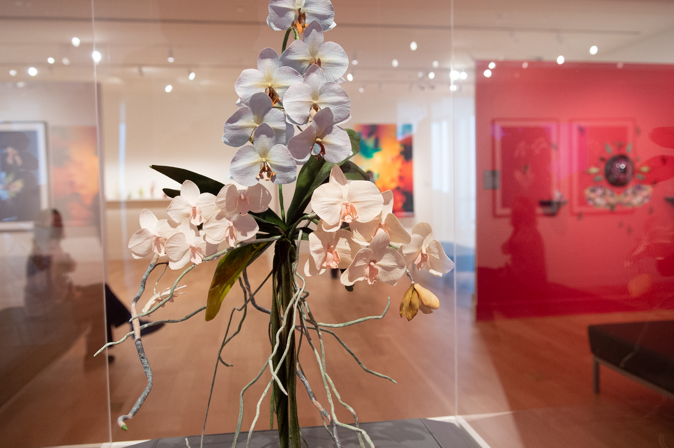 2021-barry-art-museum-orchid-exhibit-6