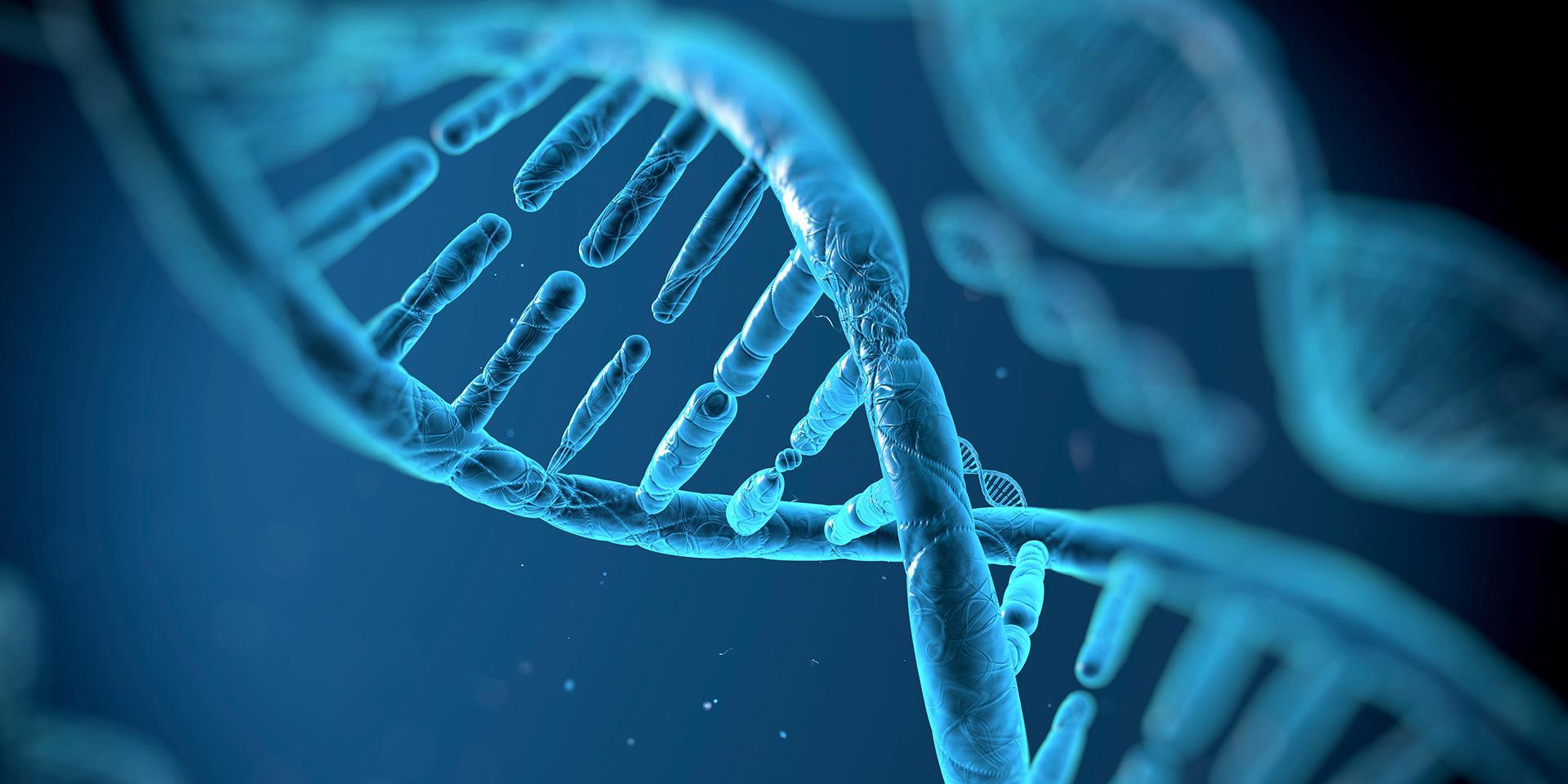 DNA Structure Stock Photography