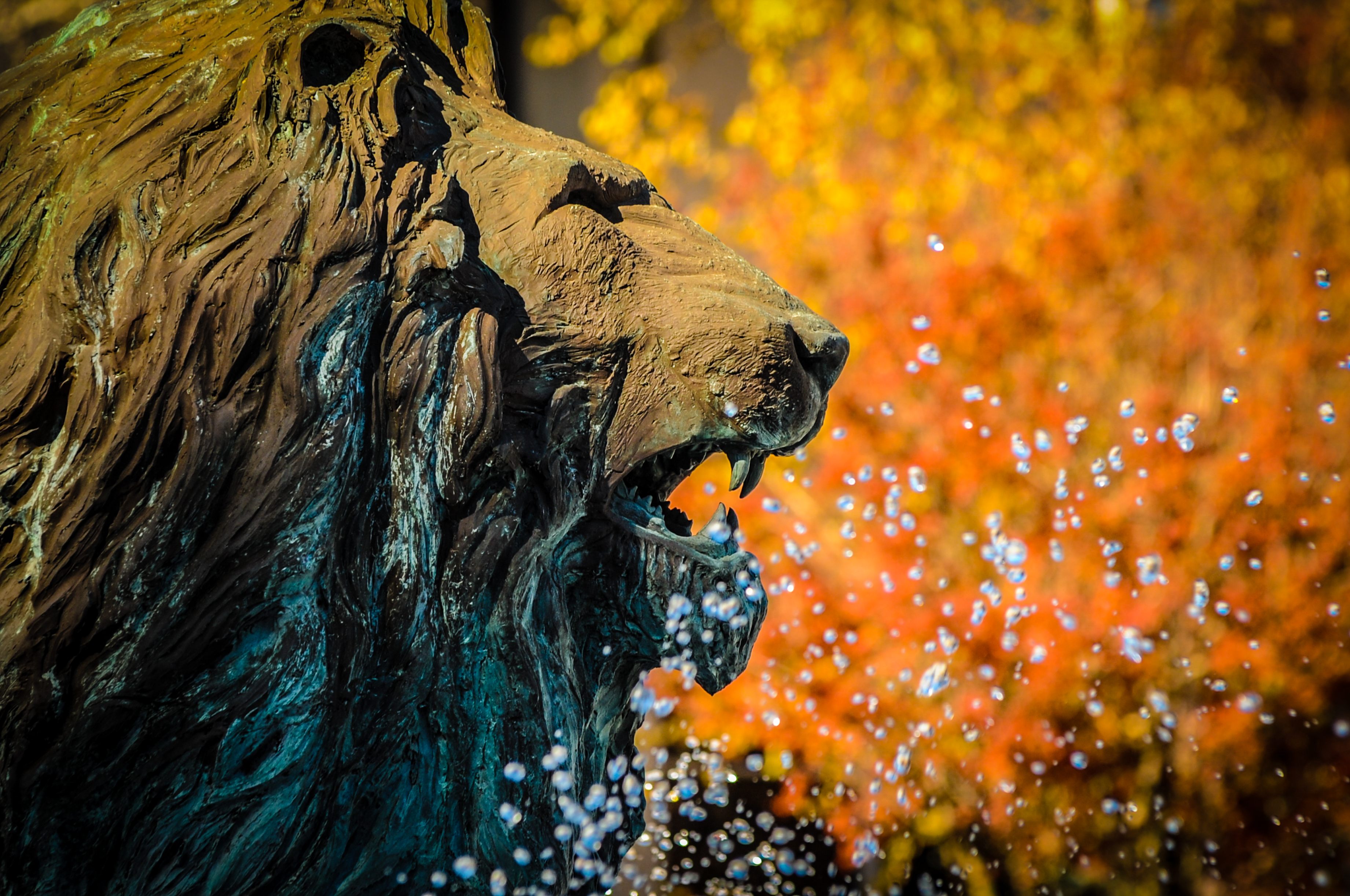 Lion Fountain in the Fall