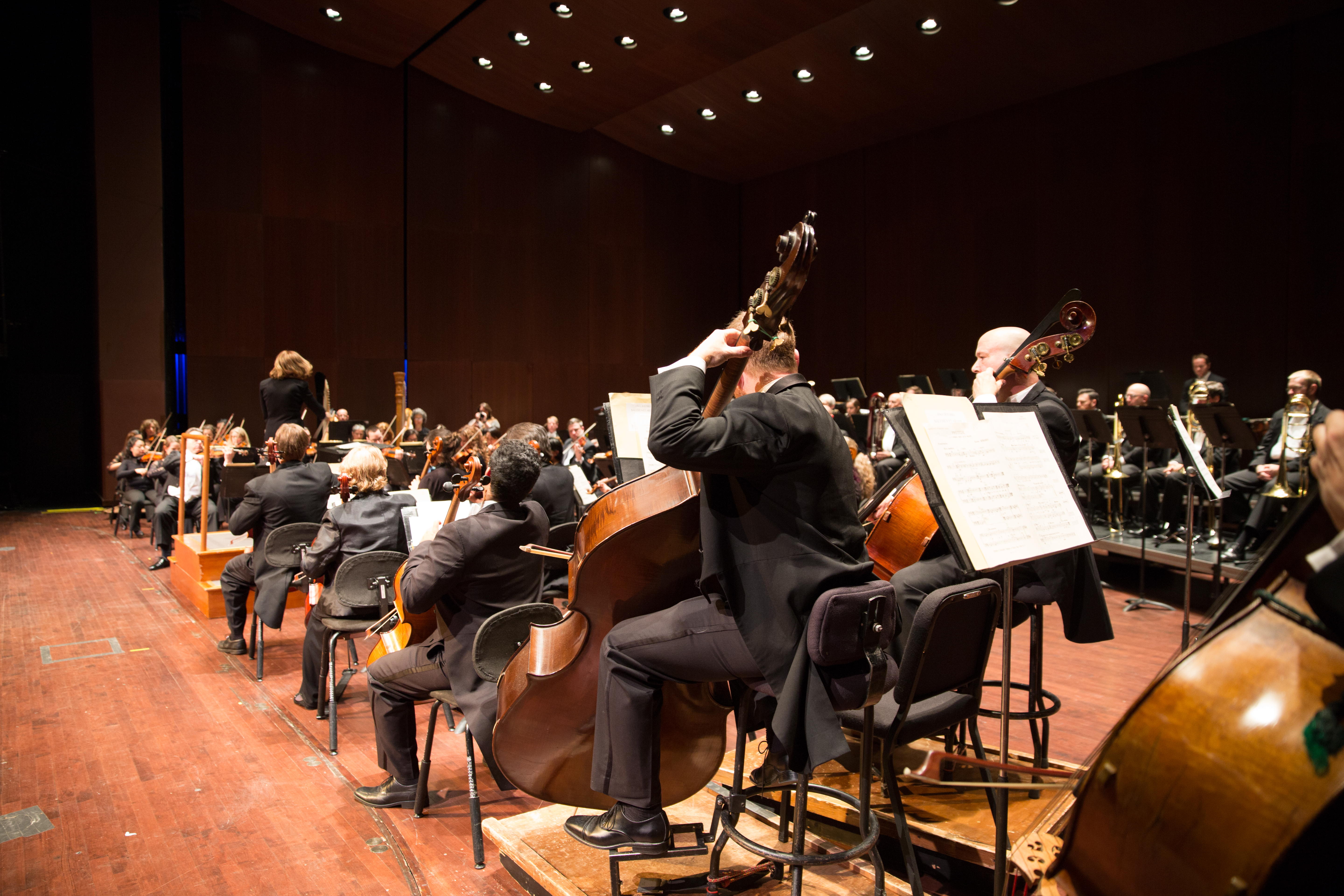 photo of the Virginia Symphony Orchestra