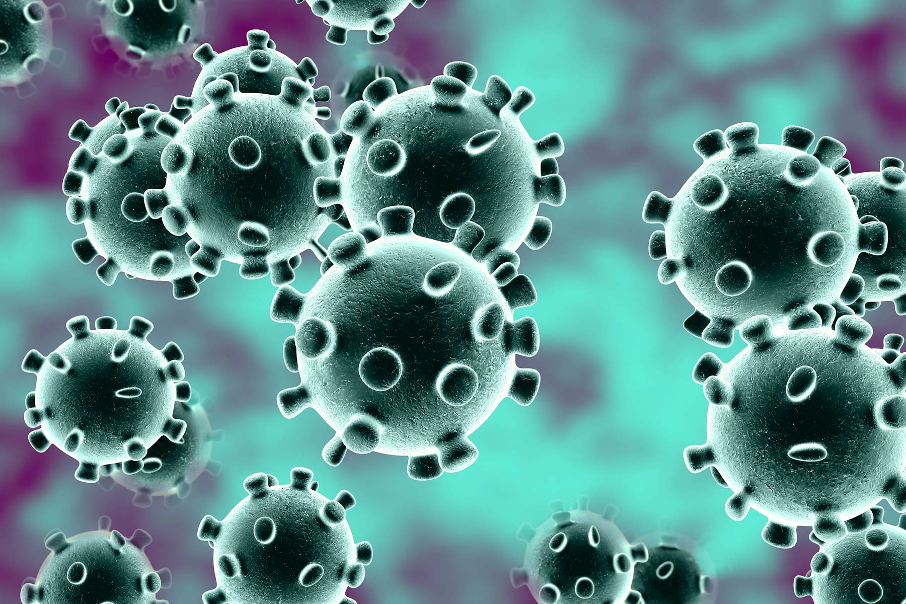 Virus/Bacteria