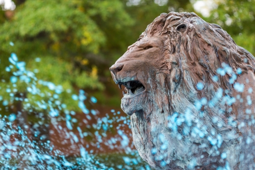 Lion's Fountain