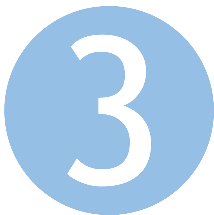 Number Three Icon