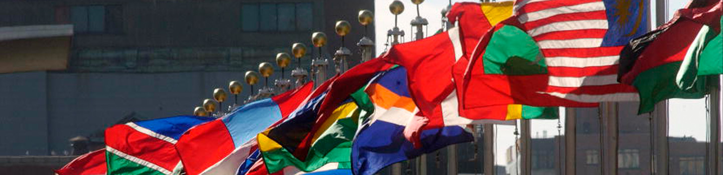 Row of country flags are blown by the wind.