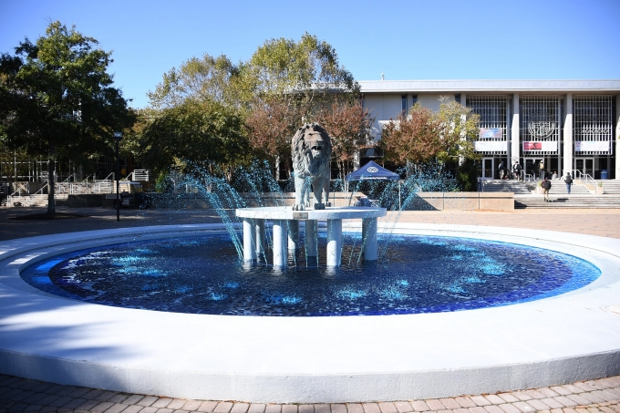 Homecoming Week Blue Fountain