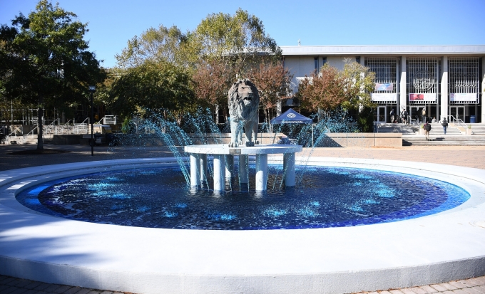 Homecoming Week Blue Fountain