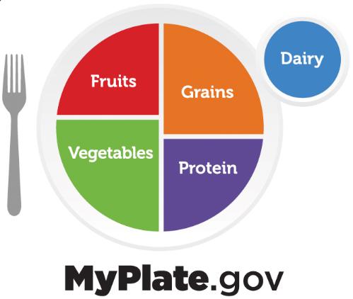 A plate with four color-coded sections. Fruit and protein se