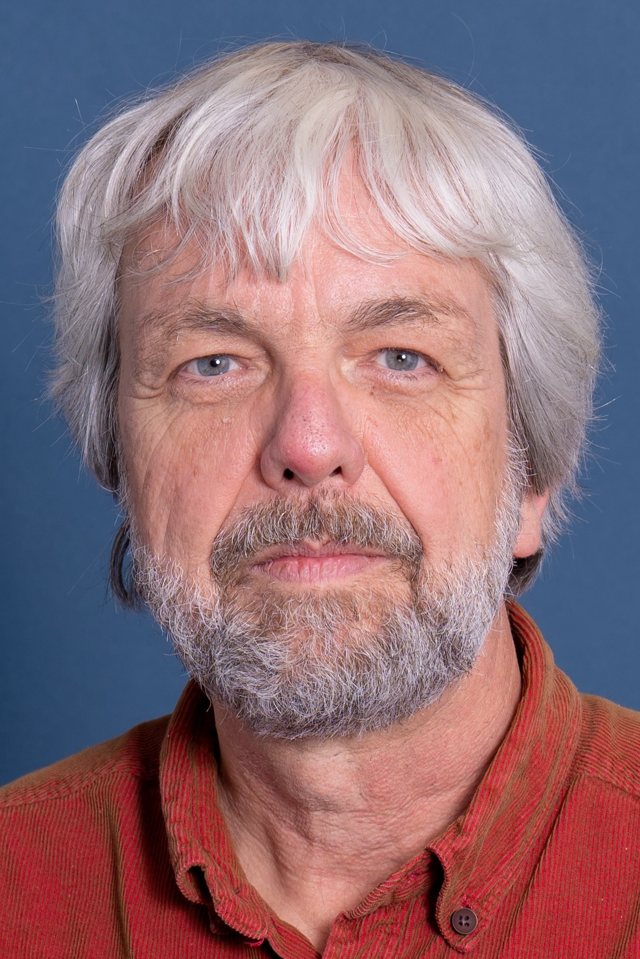 Olomon qizlarni yaladi