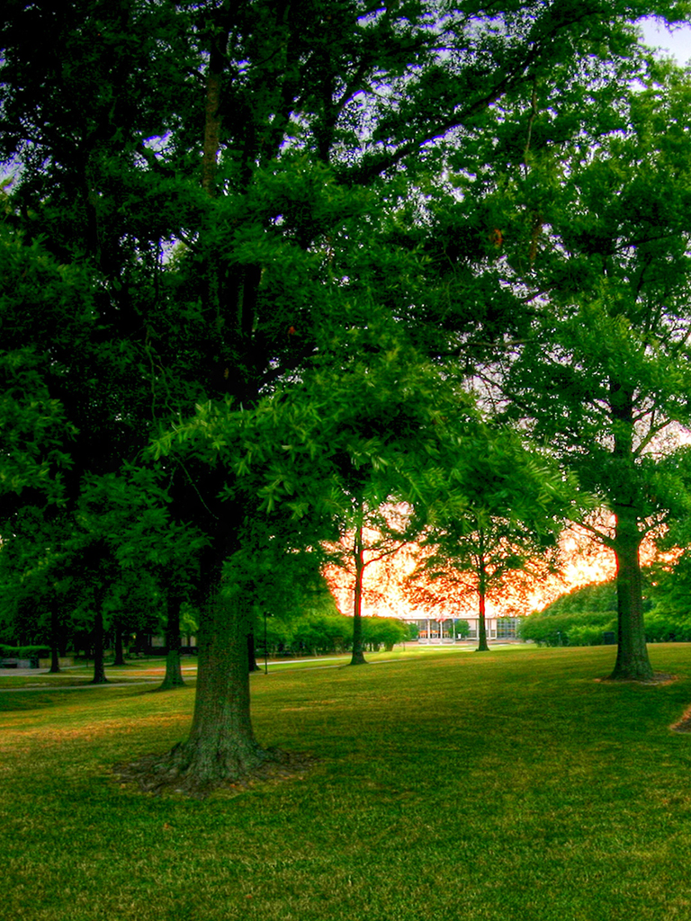 For Banner Admin - Campus Portrait