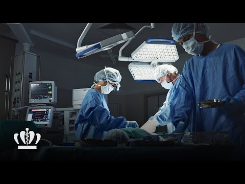 EVMS Vascular Surgery Integrated Residency