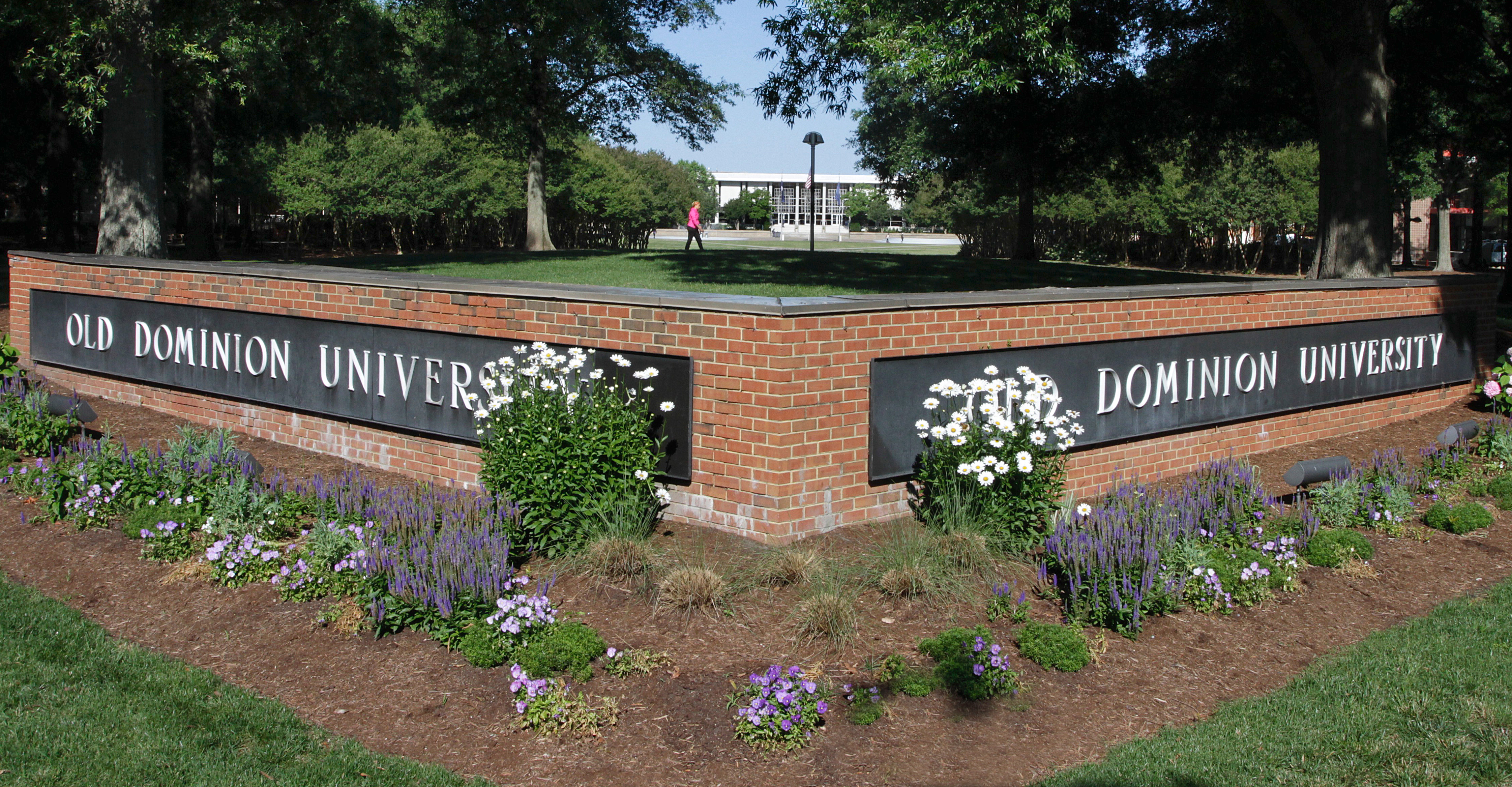 Six ODU Online Programs Ranked Among the Nation’s Best Old Dominion