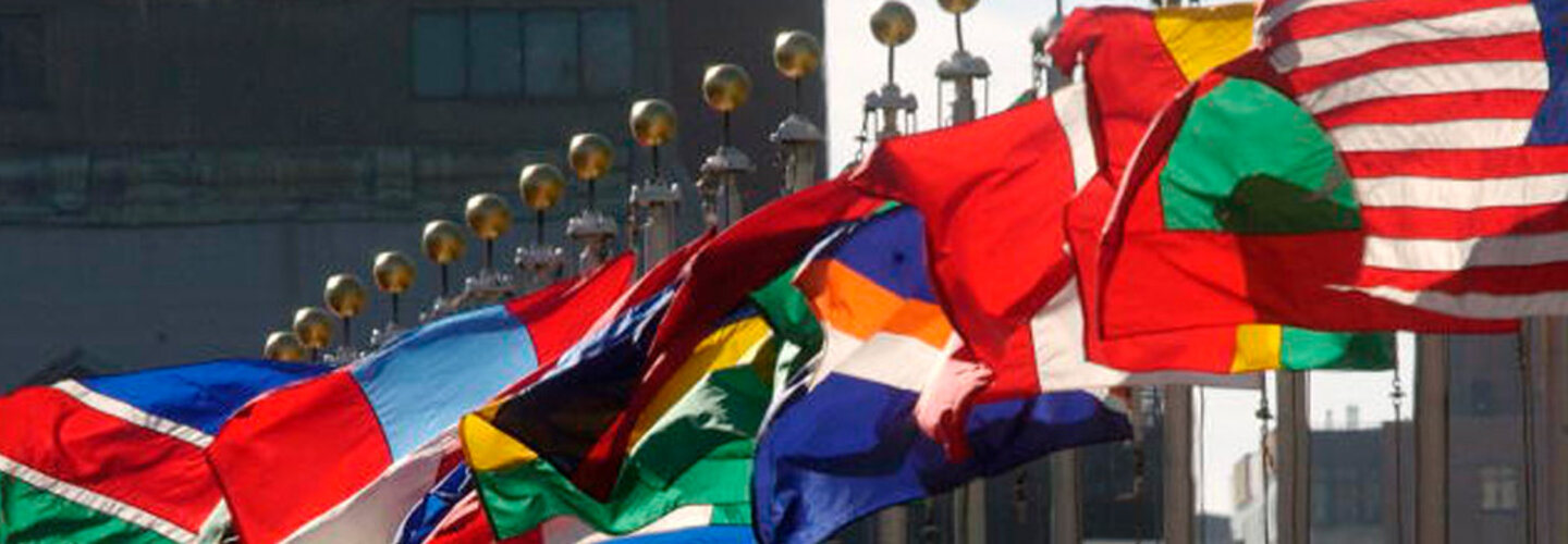 Row of country flags are blown by the wind.
