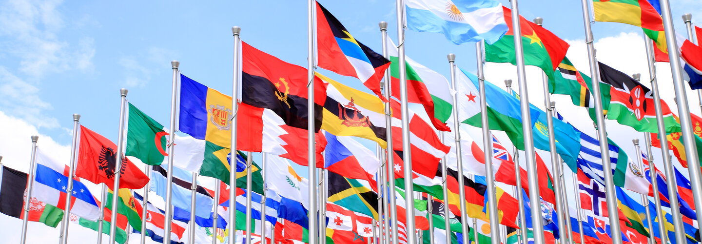 United Nations ODU Flags