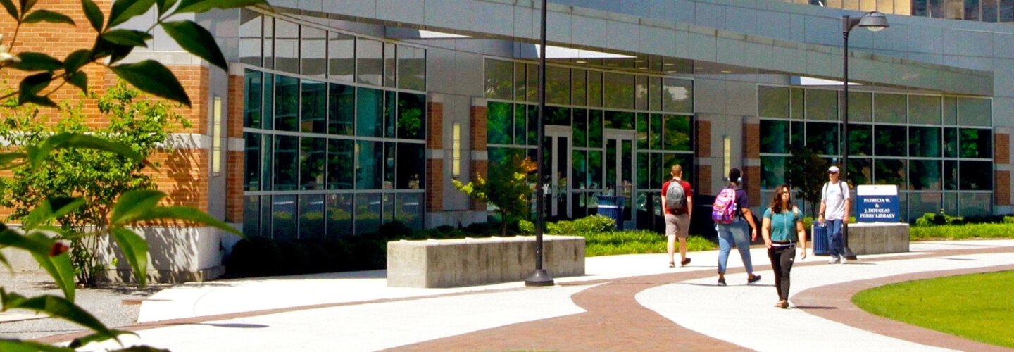 You Visit Tour. Perry Library June 1 2017. Photo David B. Hollingsworth
