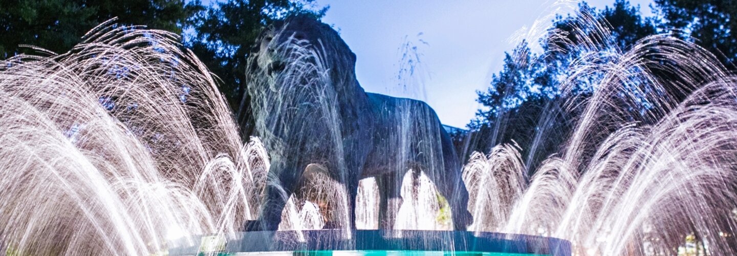 ODU lion fountain at night.