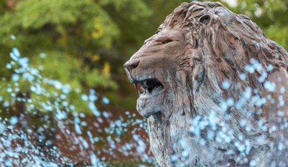 Fountain with lion sculpture
