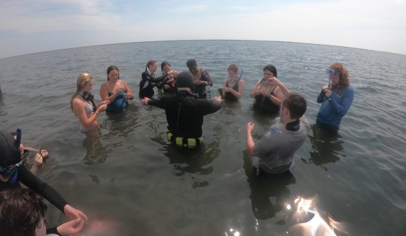 Image of students learning to snorkel with an instructor in scuba gear