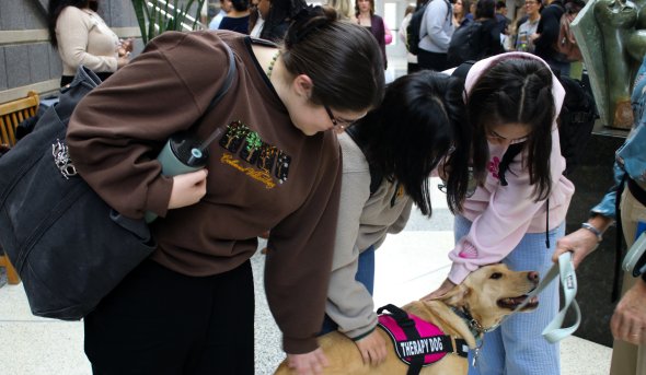 Photo of people petting a dog