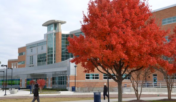 University Libraries
