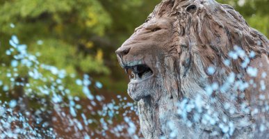 Fountain with lion sculpture