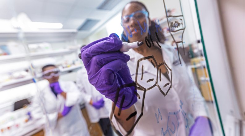 A female student draws on a board.