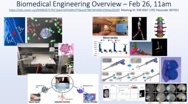Biomedical Engineering Overview