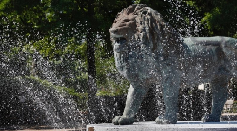 Webb Lion Fountain