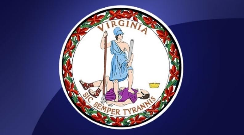 va flag art