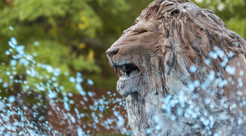 Fountain with lion sculpture
