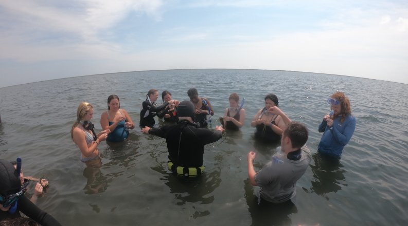 Image of students learning to snorkel with an instructor in scuba gear