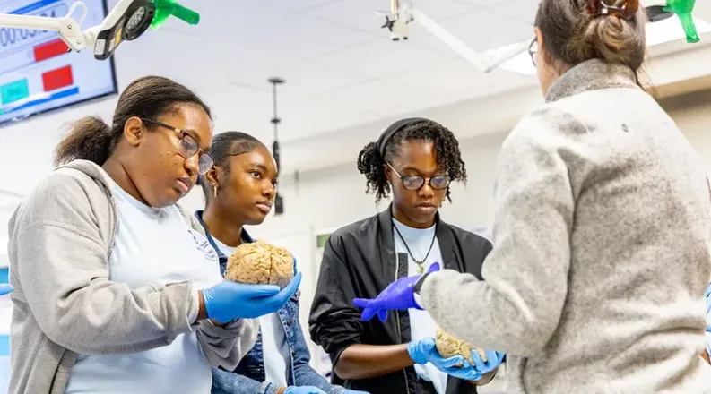 students holding brain