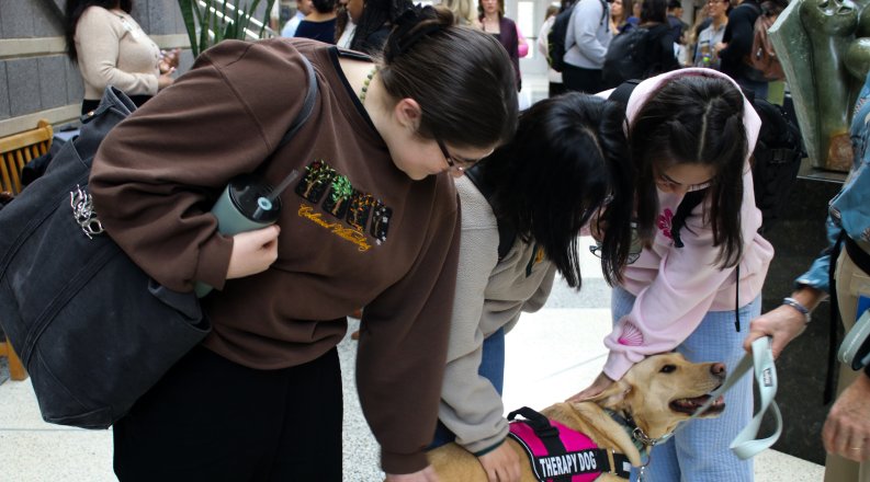 Photo of people petting a dog