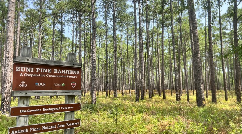 A sign marking the Blackwater Ecological Preserve stands in front of a forest full of trees. 