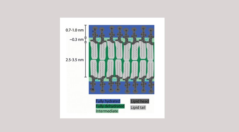  Schematic illustration