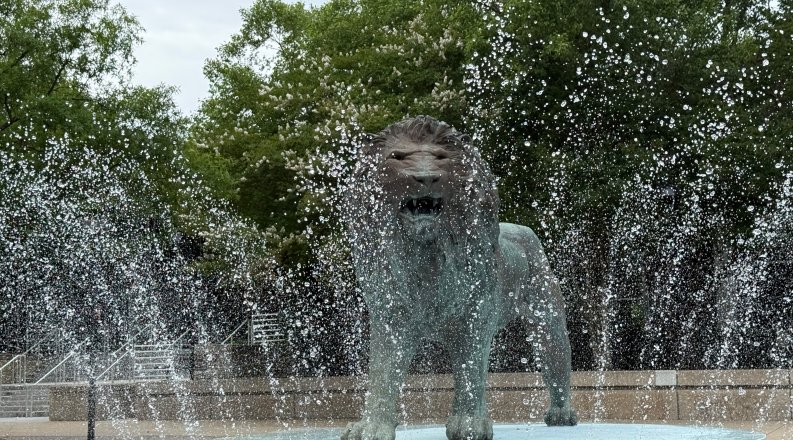 Lion Fountain