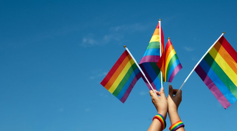 Photo of two hands holding up rainbow flags.