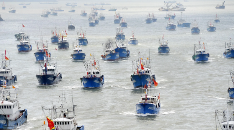 Law in the Gray Zone