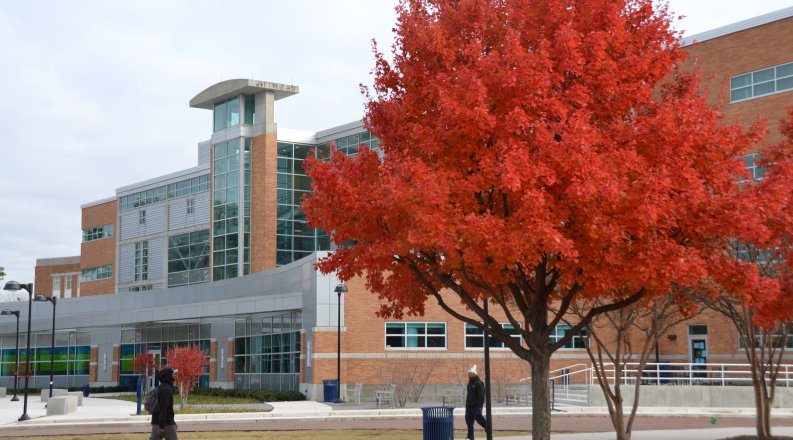 University Libraries