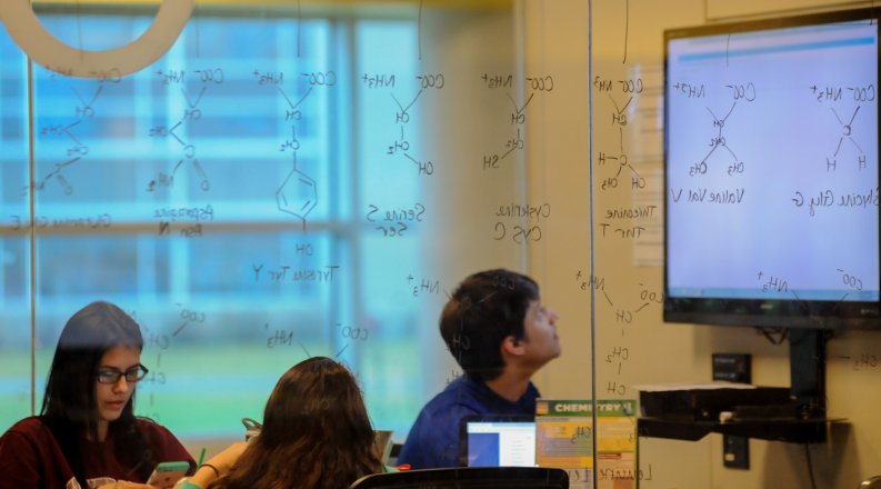 Students studying in Perry Library