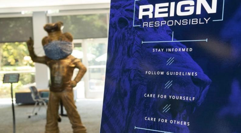 big-blue-reign-responsibly