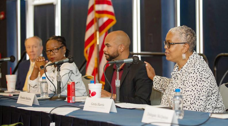 redistricting-hearing