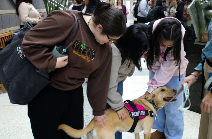 Photo of people petting a dog