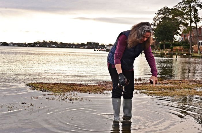 A woman stands in shallow water and points down.