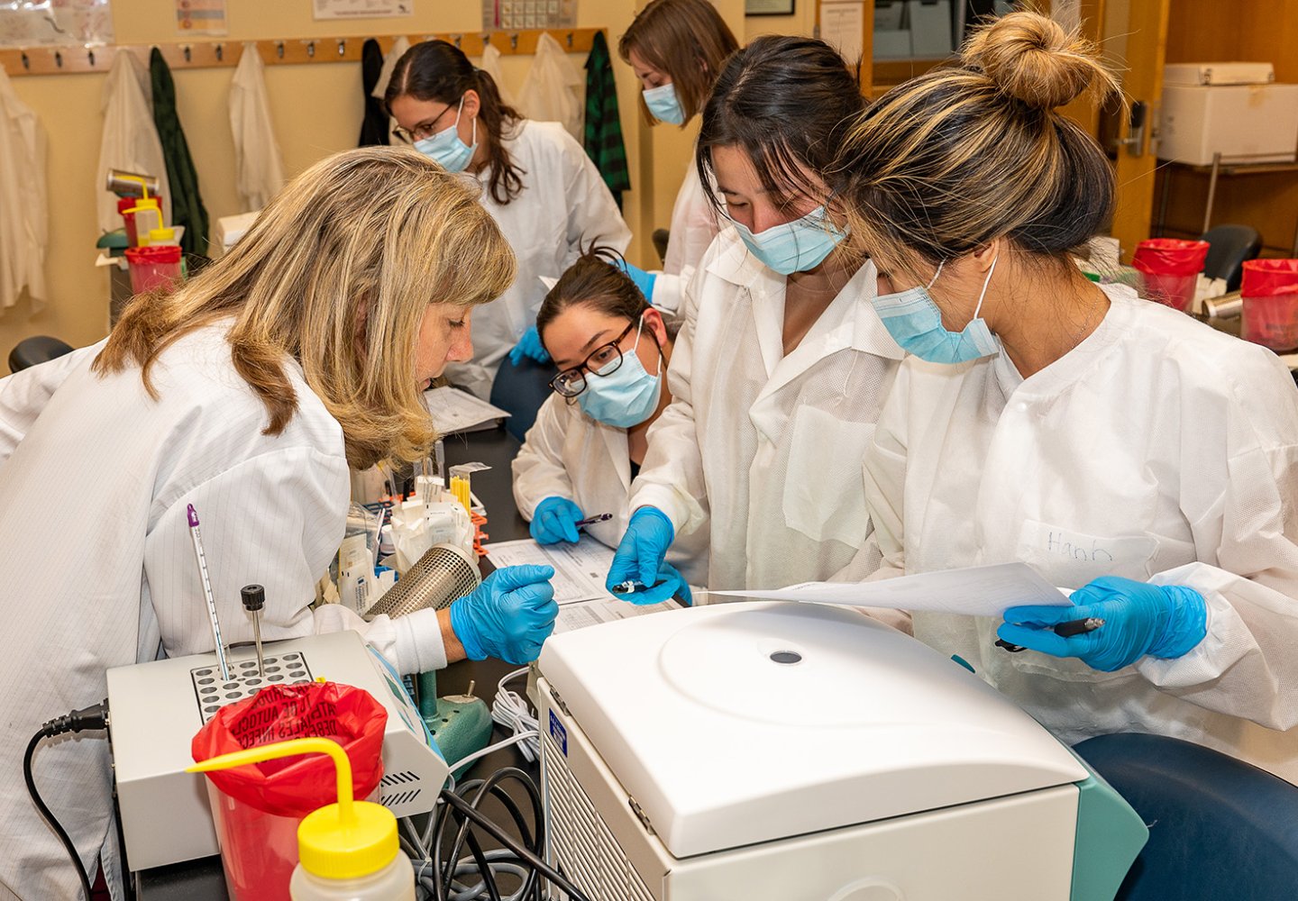 Medical Technology students work in the lab