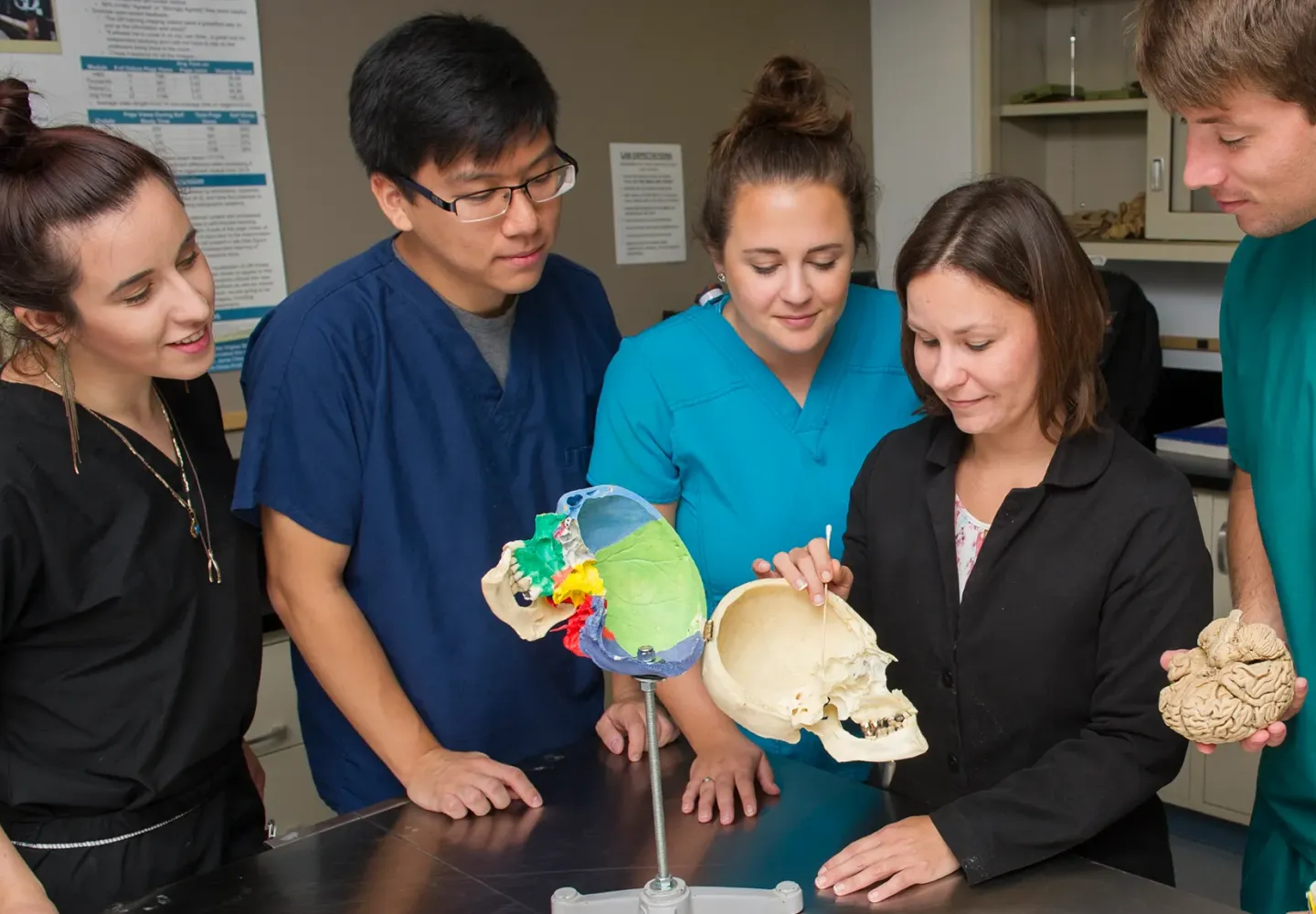 Dr. Carrie Elzie and students examine an anatomy model of th