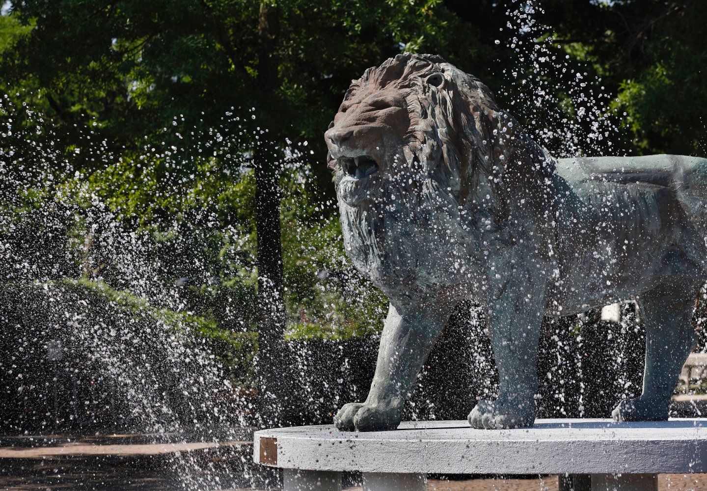 Webb Lion Fountain